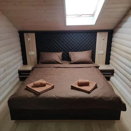 Apartment Diamond De Luxe Kolomiya