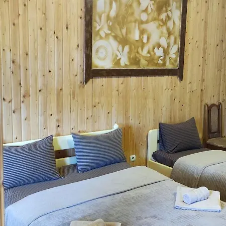 Apartment Diamond De Luxe *